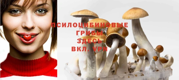 бошки Абинск