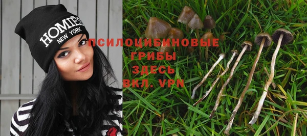 бошки Абинск