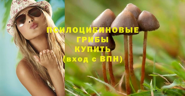 бошки Абинск