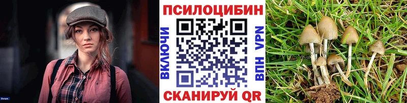 hydra tor  Абакан  Галлюциногенные грибы прущие грибы  наркота 