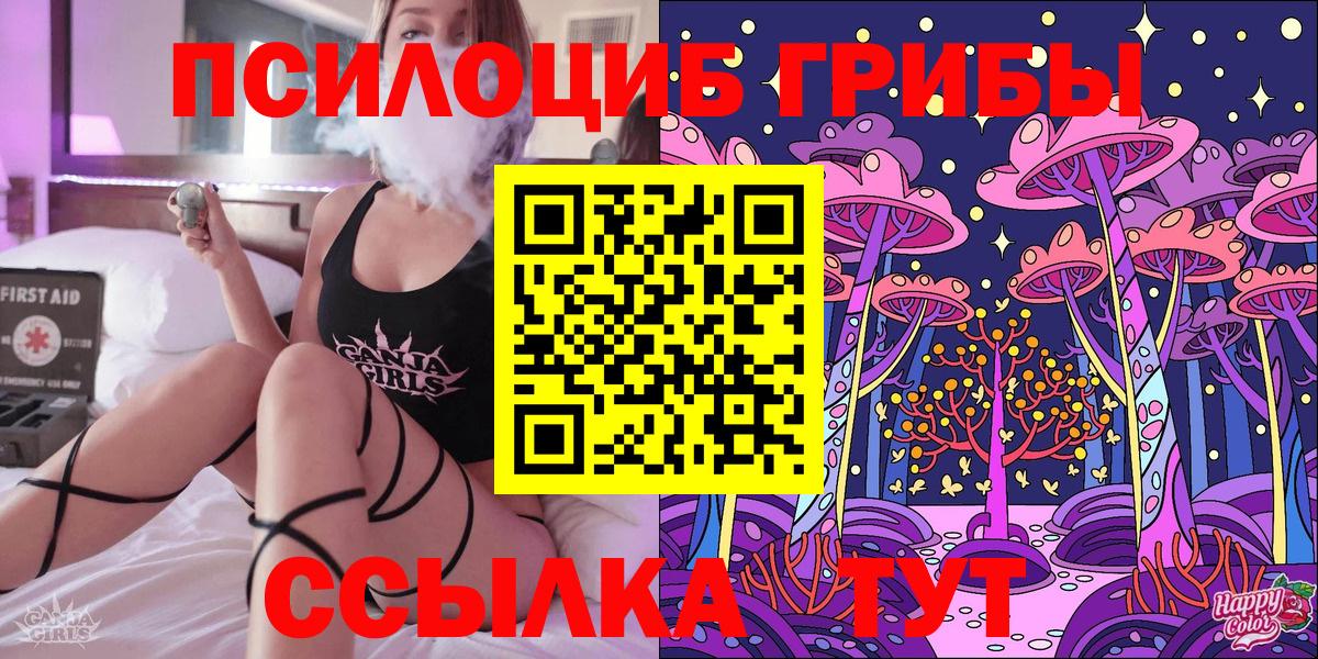 Псилоцибиновые грибы мухоморы Абакан